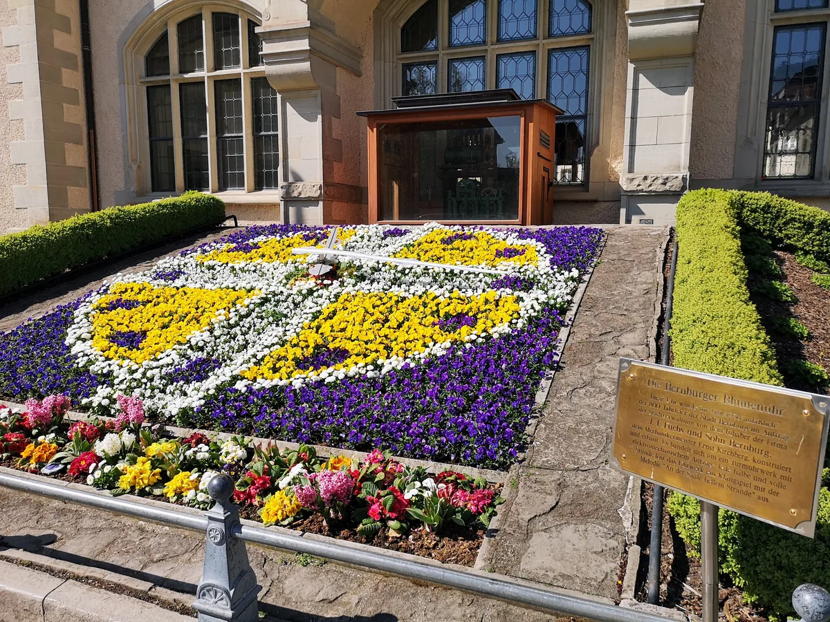 Die Bernburger Blumenuhr am Kurhaus im Frühjahr